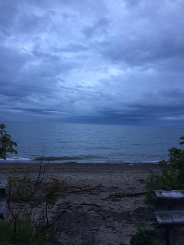 Image1496051790.919008.jpg