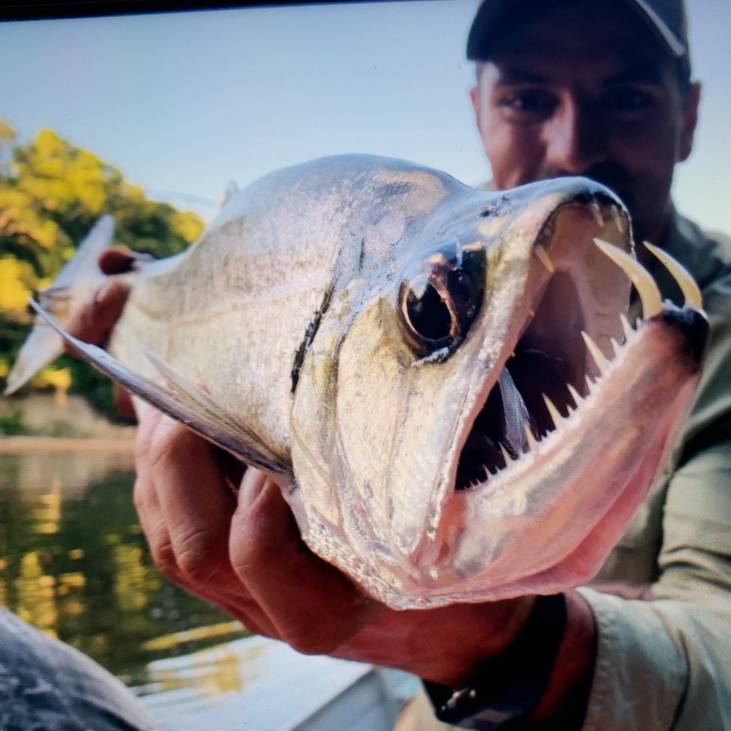 South American Muskies 2019 - Eastern Lake Erie Charter Boat Association - Lake  Erie United - Walleye, Bass, Perch Fishing Forum