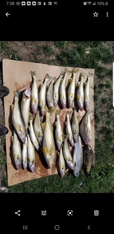 Upper Niagara Help! - Lake Erie Fishing Reports - Lake Erie United