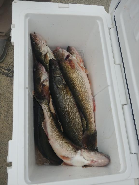 Kramer93's Content - Lake Erie United - Walleye, Bass, Perch