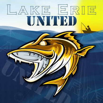 Lake Erie Fishing Reports for Perch, Walleye, Bass & Trout