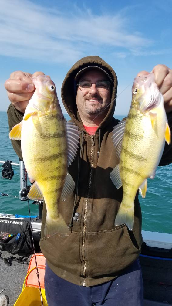 Lake Erie Perch Fishing - Lake Erie Fishing Reports - Lake Erie United -  Walleye, Bass, Perch Fishing Forum