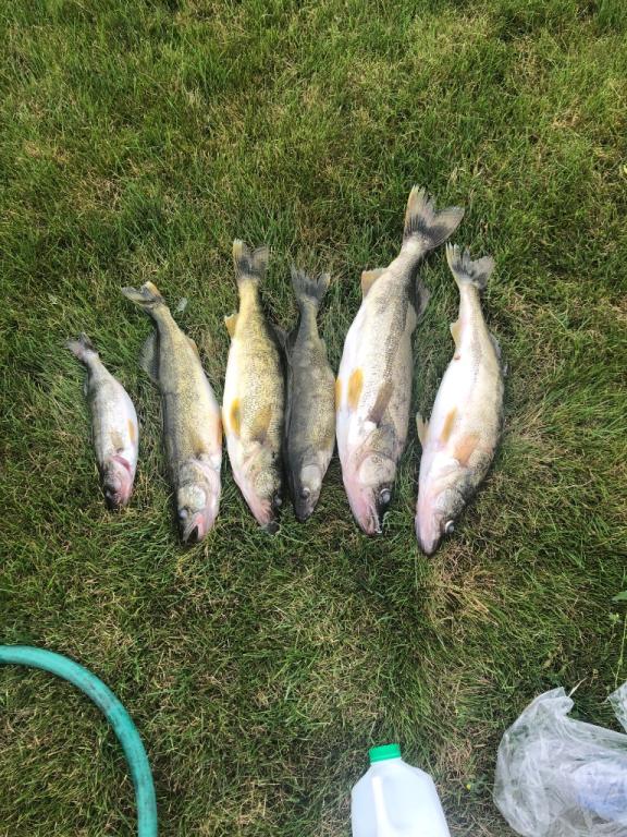 Barcelona - Lake Erie Fishing Reports - Lake Erie United - Walleye