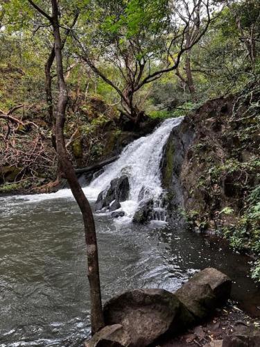 waterfall copy.jpg