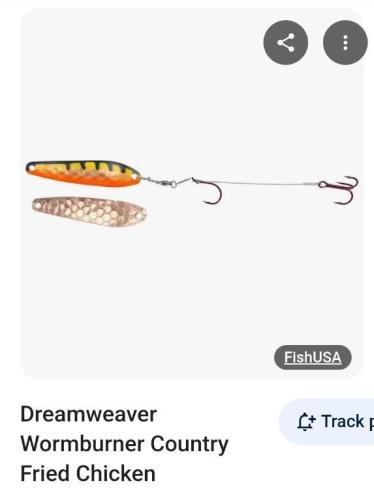 Screenshot_20250816_203005_Samsung Internet.jpg