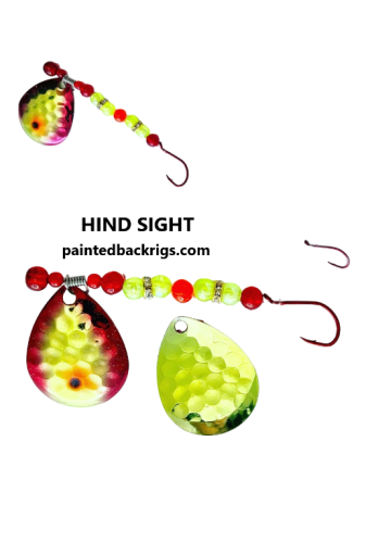 hind sight split.png
