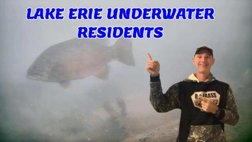 UNDERWATER RESIDEN TS THUMBNAIL.jpg