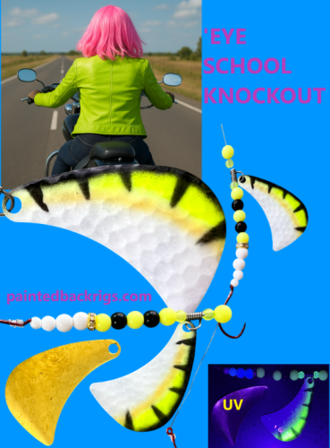 'eye school knockout.png