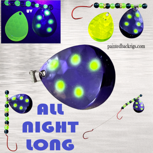 2026 all night long.png