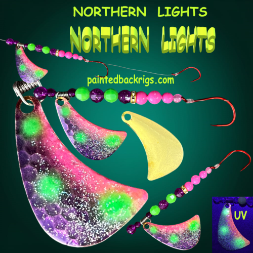2026 northern lights.png