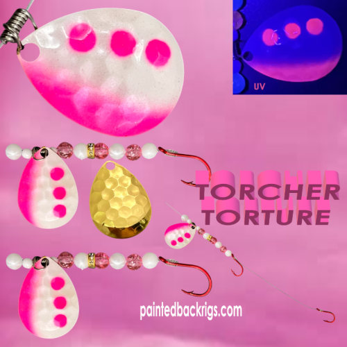 2026 torcher torture.png