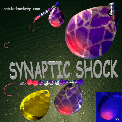 2026 synaptic shock.png