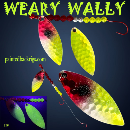 2026 weary wally.png