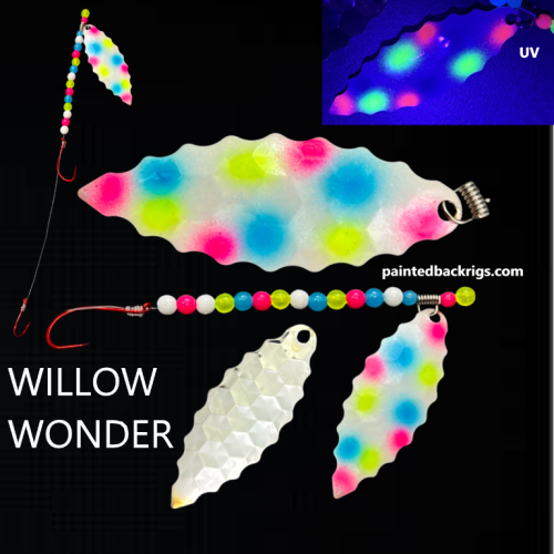 2026 willow wonder.png